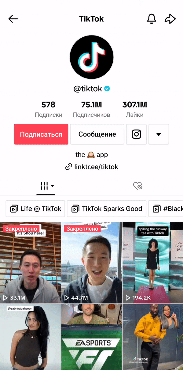 TikTok Mod Demo